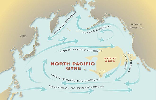 North Pacific Gyre ©  SW
